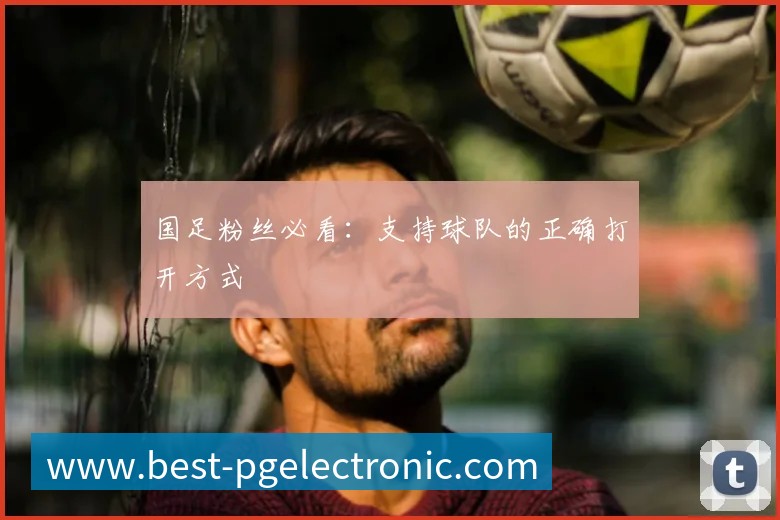 国足粉丝必看:支持球队的正确打开方式